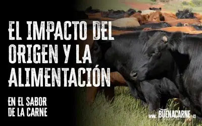 EL IMPACTO DEL ORIGEN Y LA ALIMENTACIÓN EN EL SABOR DE LA CARNE