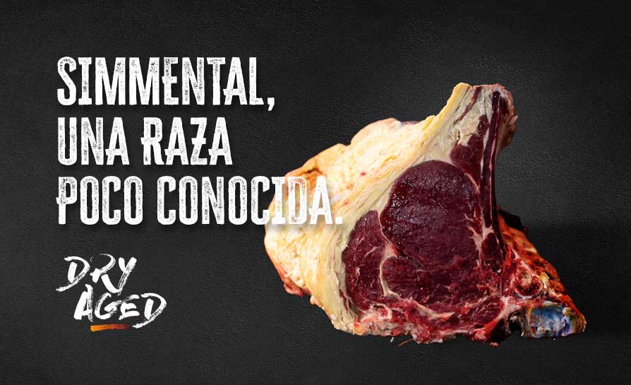 Simmental, una raza poco conocida.