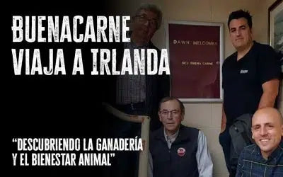 BuenaCarne viaja a Irlanda: descubriendo la ganadería y el bienestar animal